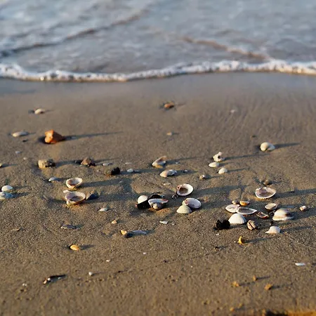 Villa Your Relaxing Family Escape - Beahost Bibione